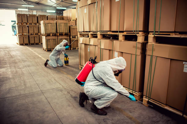 Best Pest Control for Homes  in Point Pleasant, NJ