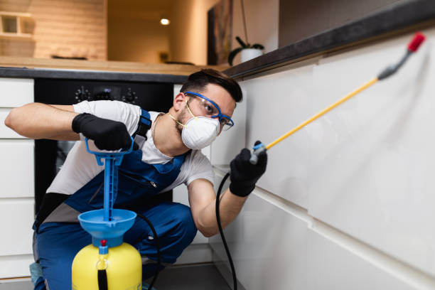 Best Wasp Removal Services  in Point Pleasant, NJ