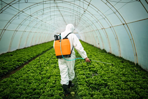 Best Affordable Pest Control Services  in Point Pleasant, NJ