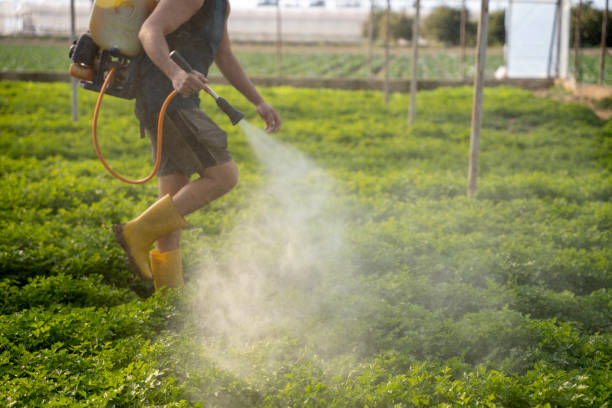 Pest Control Cost in Point Pleasant, NJ