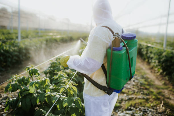 Best Pest Control Cost  in Point Pleasant, NJ